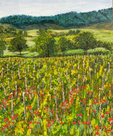 Coquelicots dans les vignes